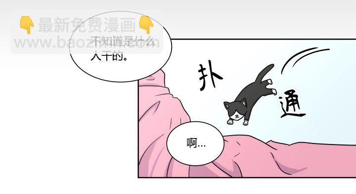 哀求3
