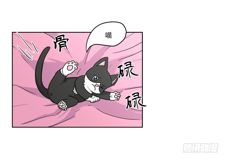 哀求4