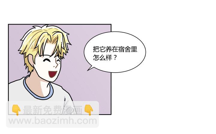 哀求8
