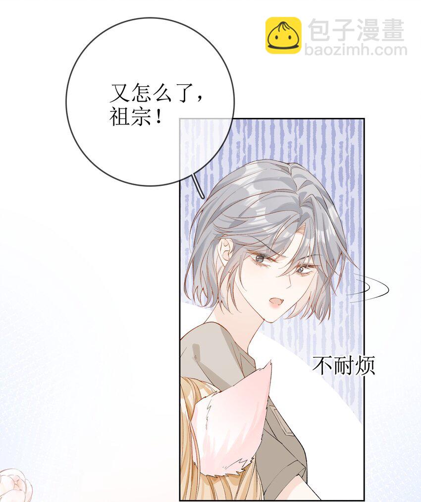 10 狐狸也不差的3