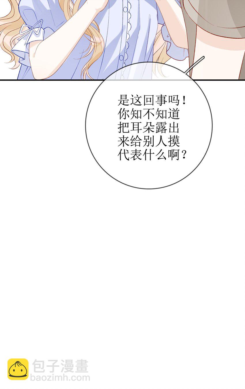 10 狐狸也不差的8