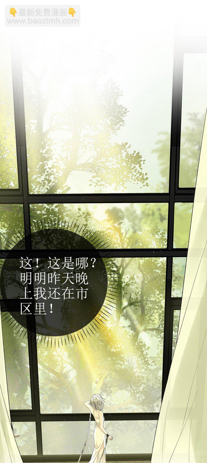 13 囚禁的灰狼27