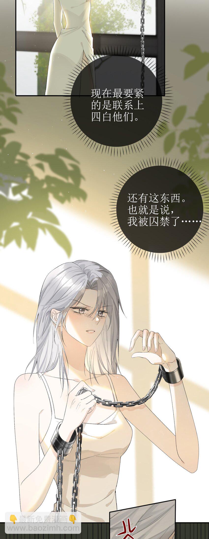 13 囚禁的灰狼31