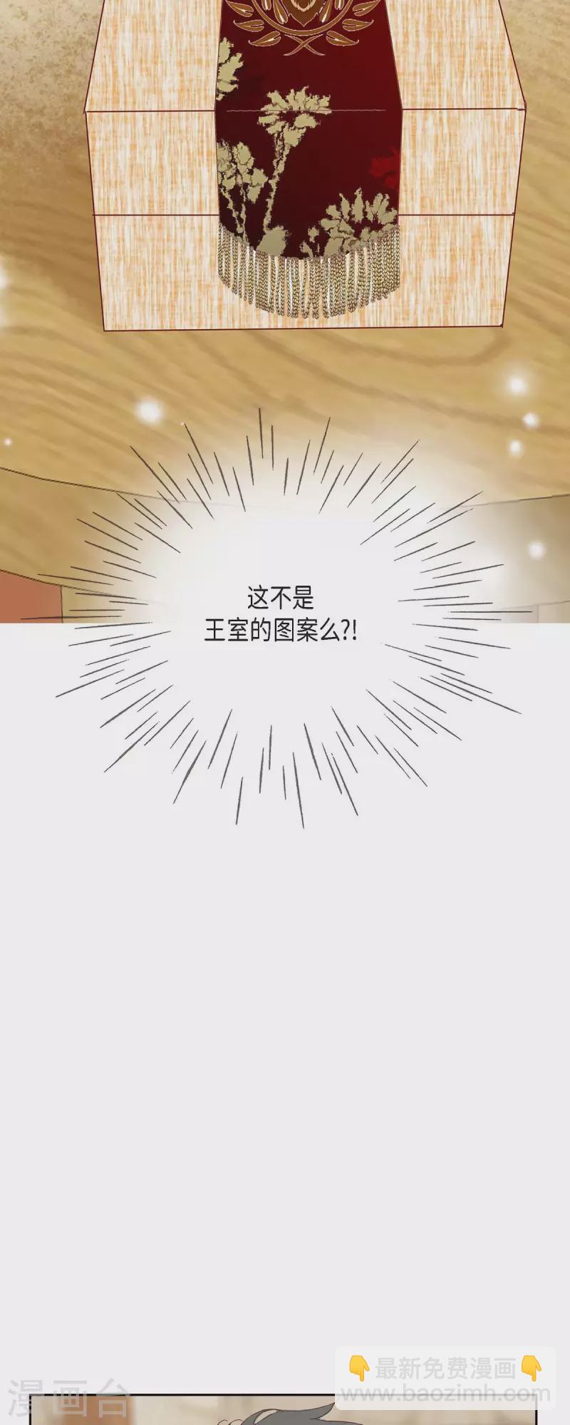 第29话 王室的图案26
