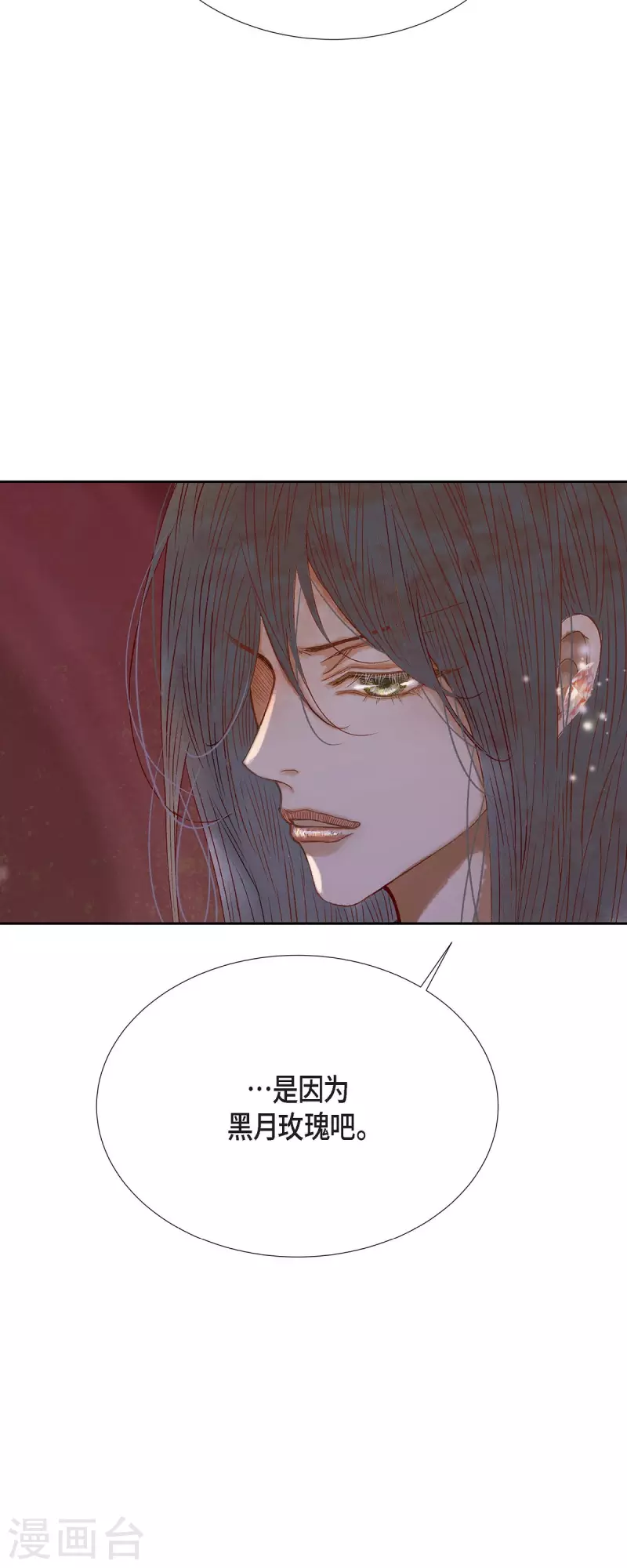 第40话 黑月玫瑰的守护者10
