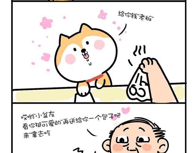 五个包子6
