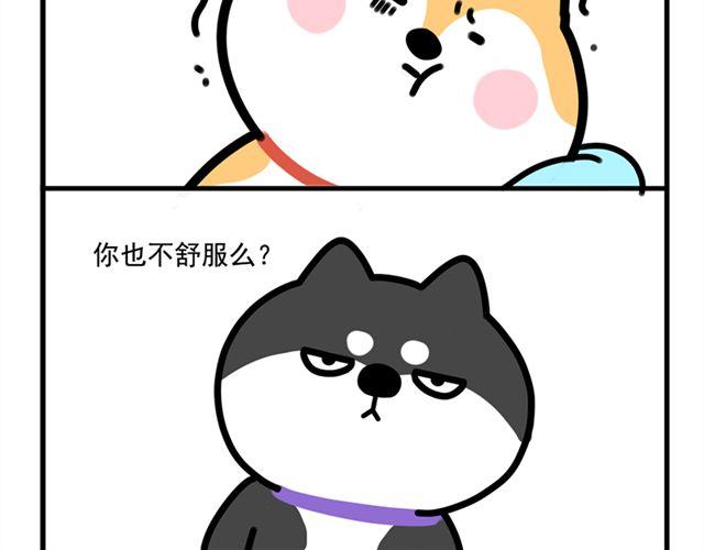 哥，我头有点疼10