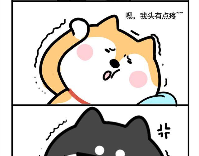 哥，我头有点疼11