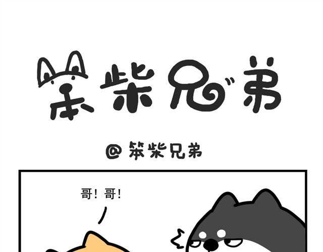 哥，我头有点疼4