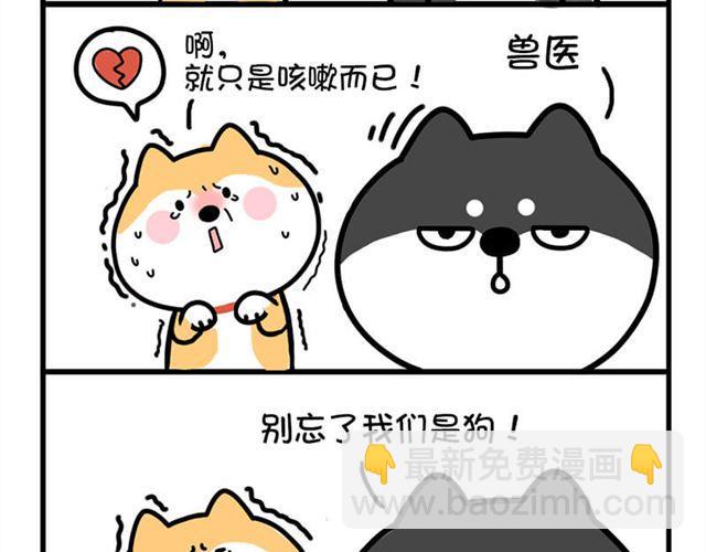 你就死了这条心吧！11