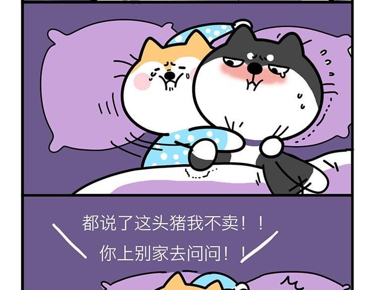 姐，我求你！7