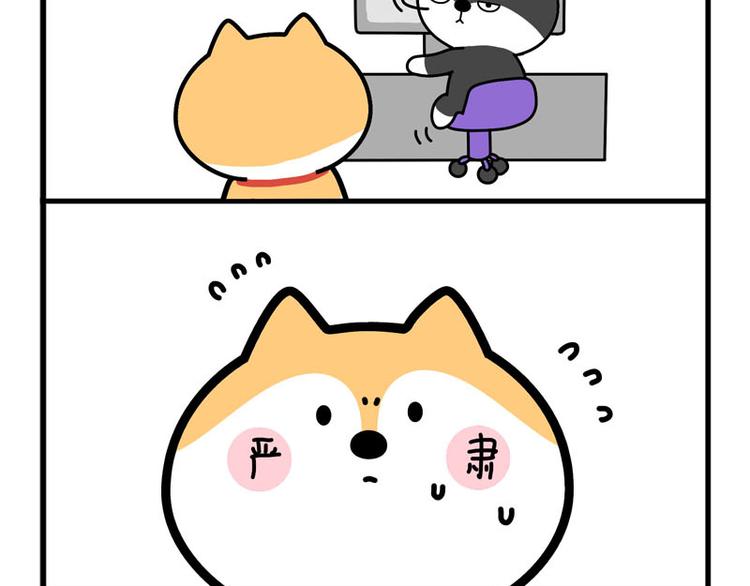 求求你了10