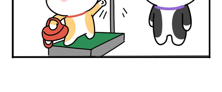 “机智”到无言以对11