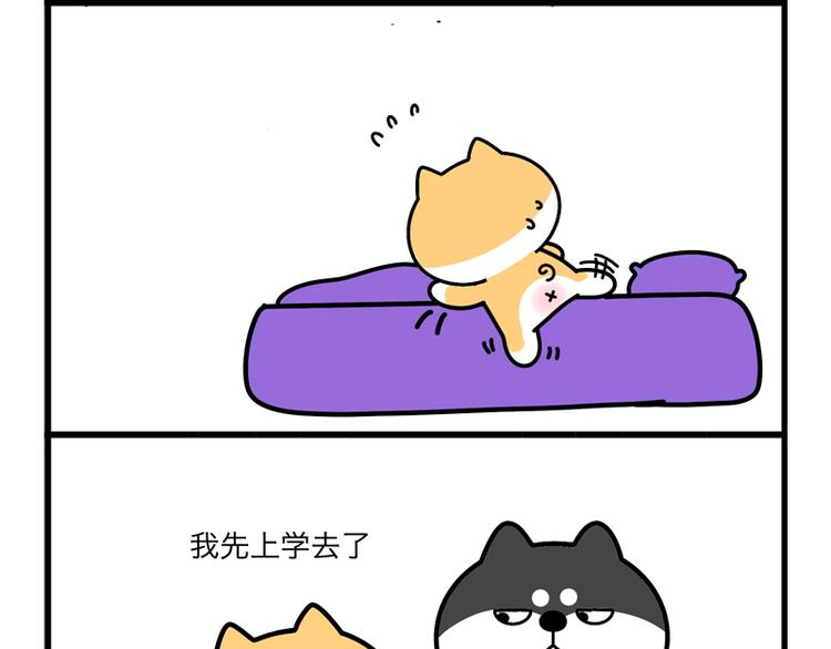 “机智”到无言以对6