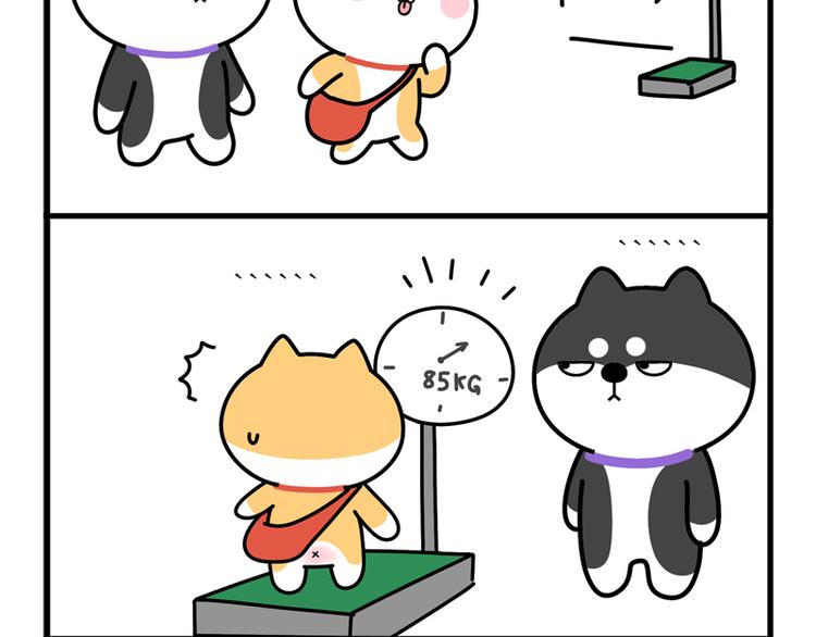 “机智”到无言以对9