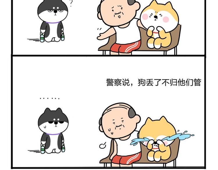 我哥丢了！13