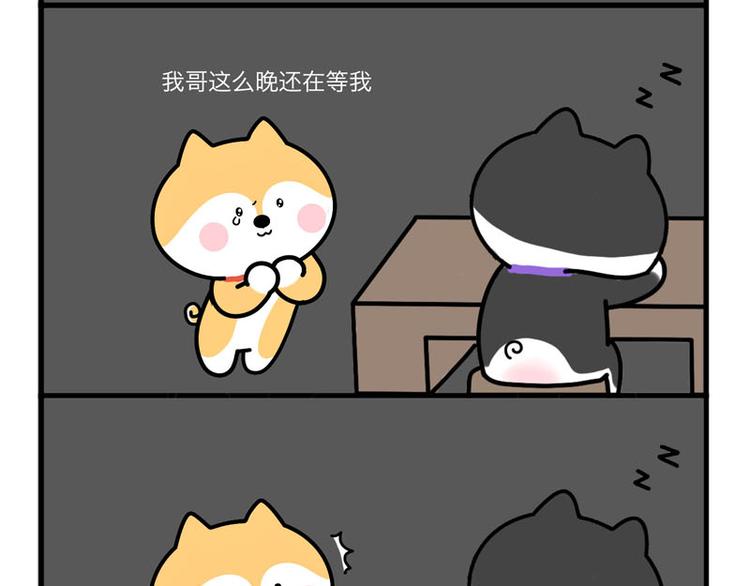 我哥丢了！2