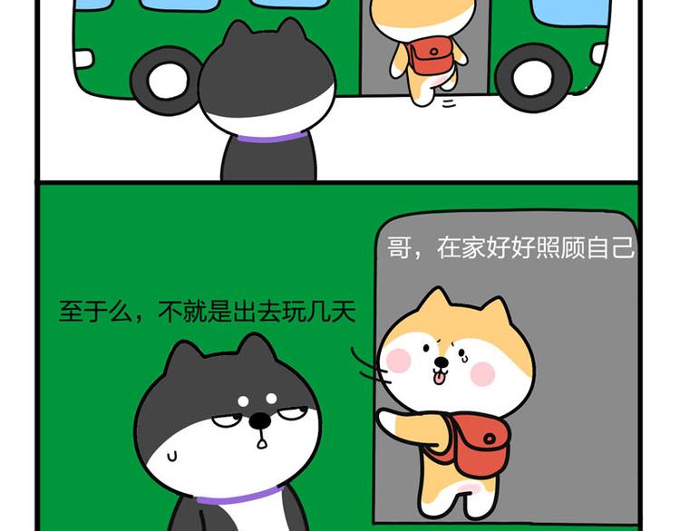我哥丢了！6