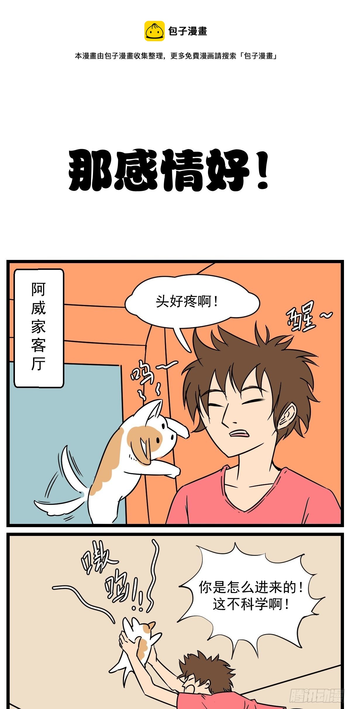 小小功臣0