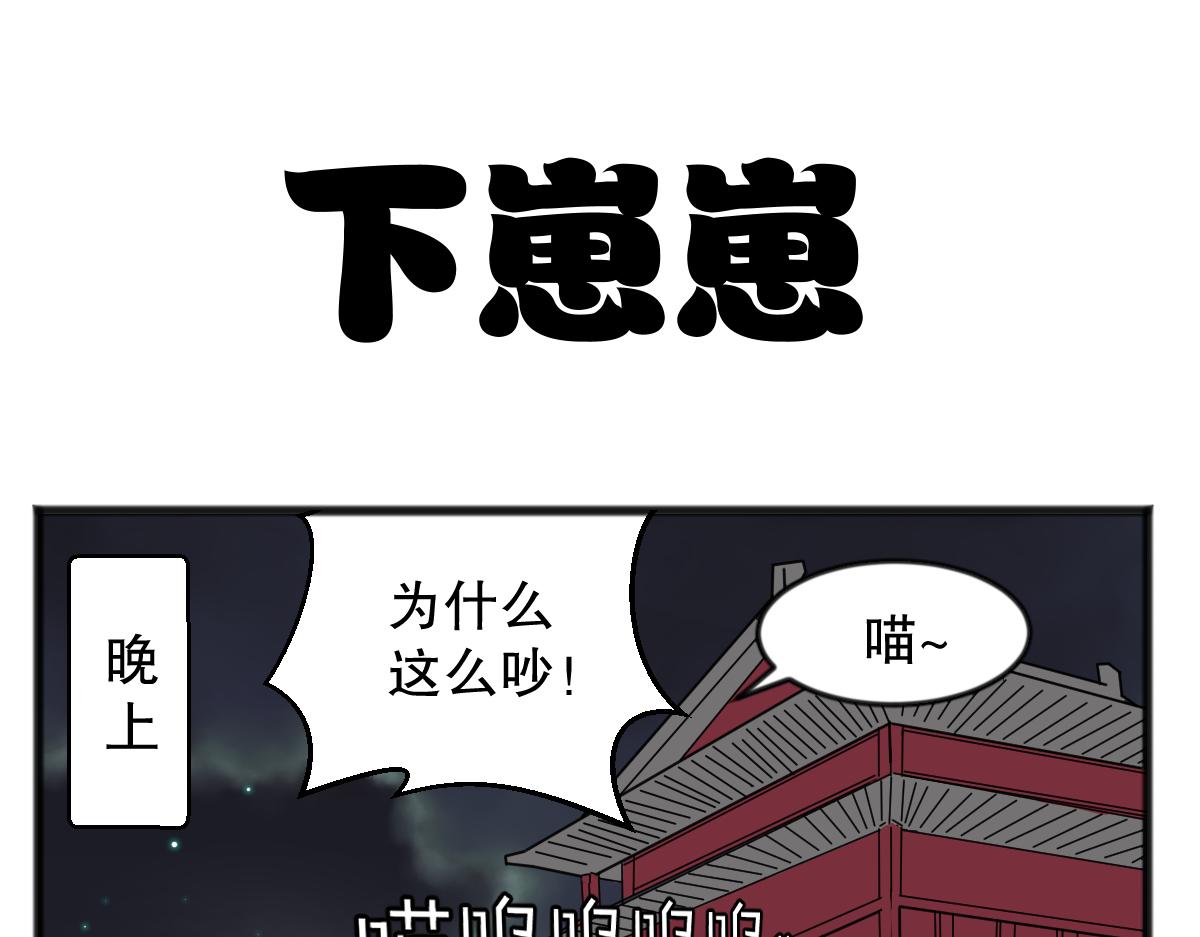 猫仔10