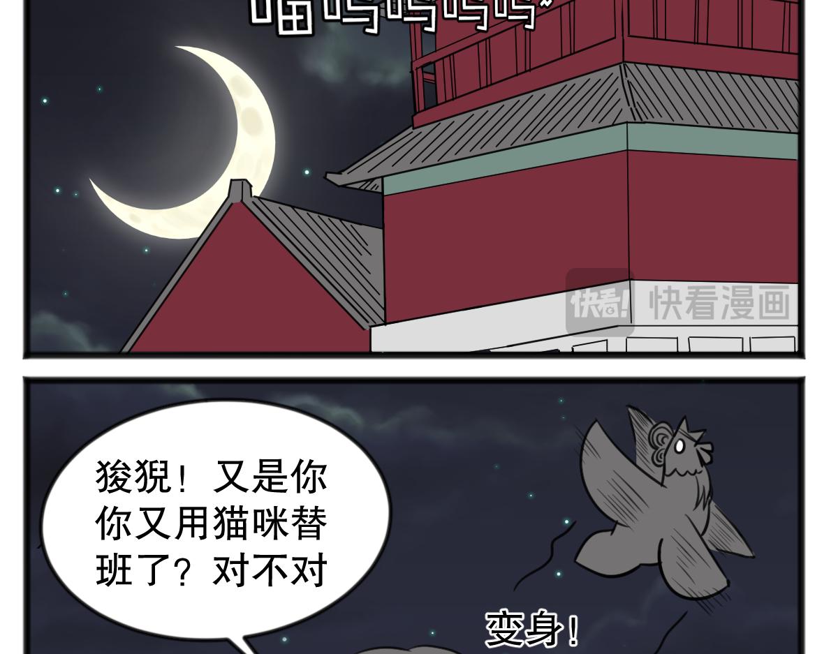 猫仔11