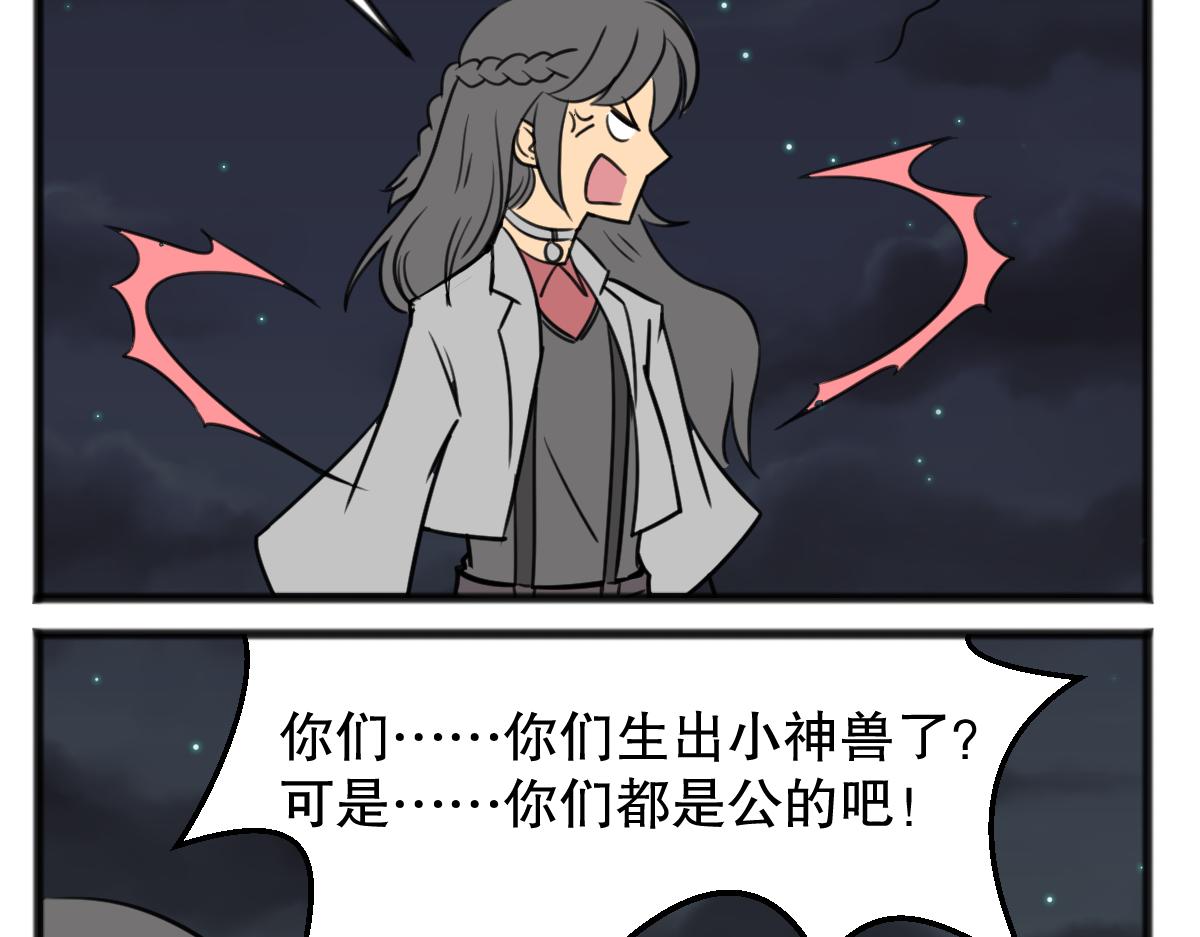 猫仔12
