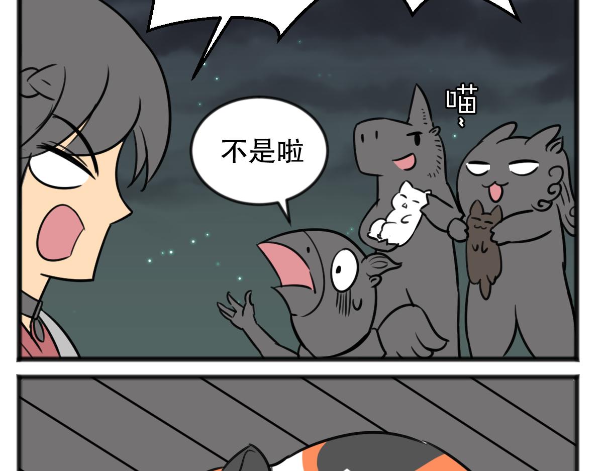 猫仔13