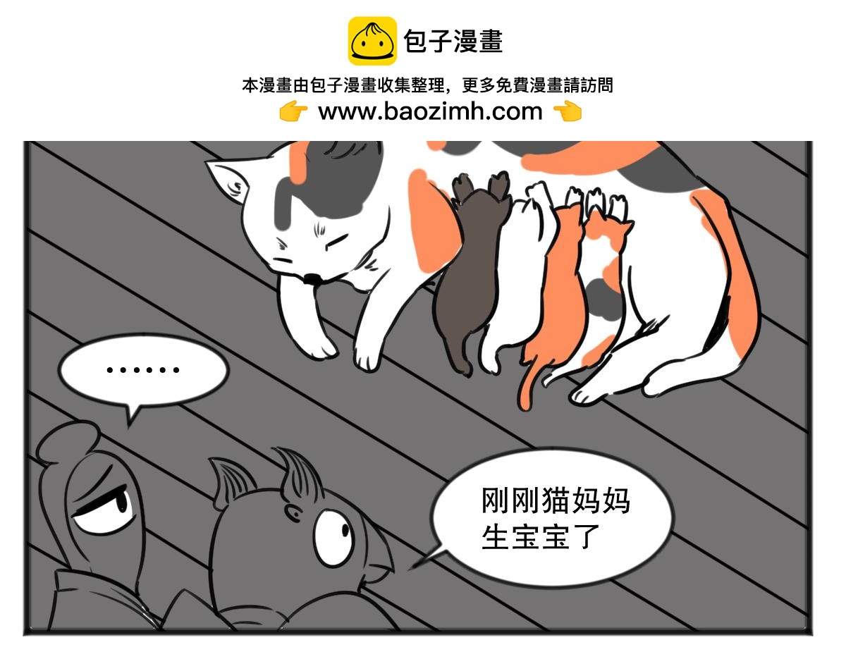 猫仔14