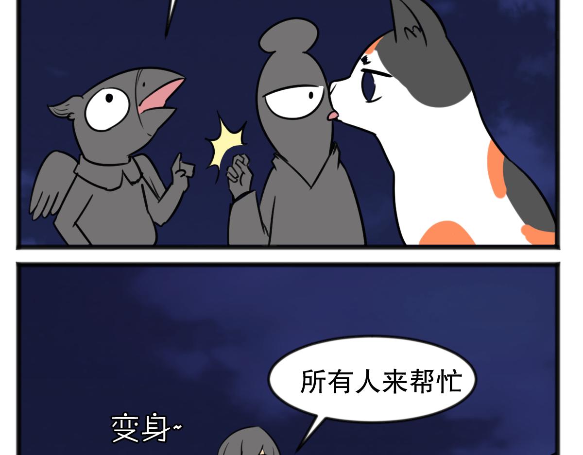 猫仔16