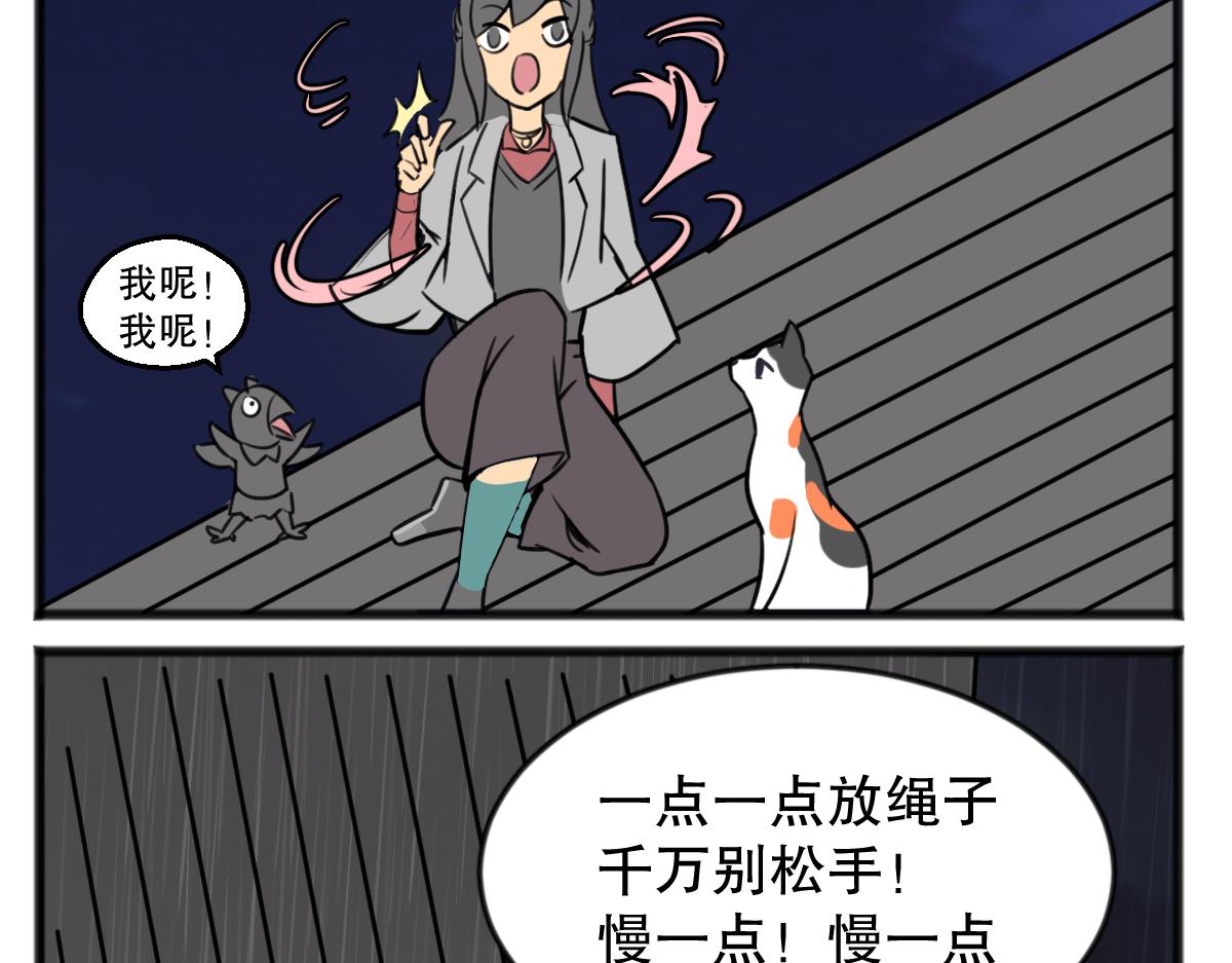 猫仔17