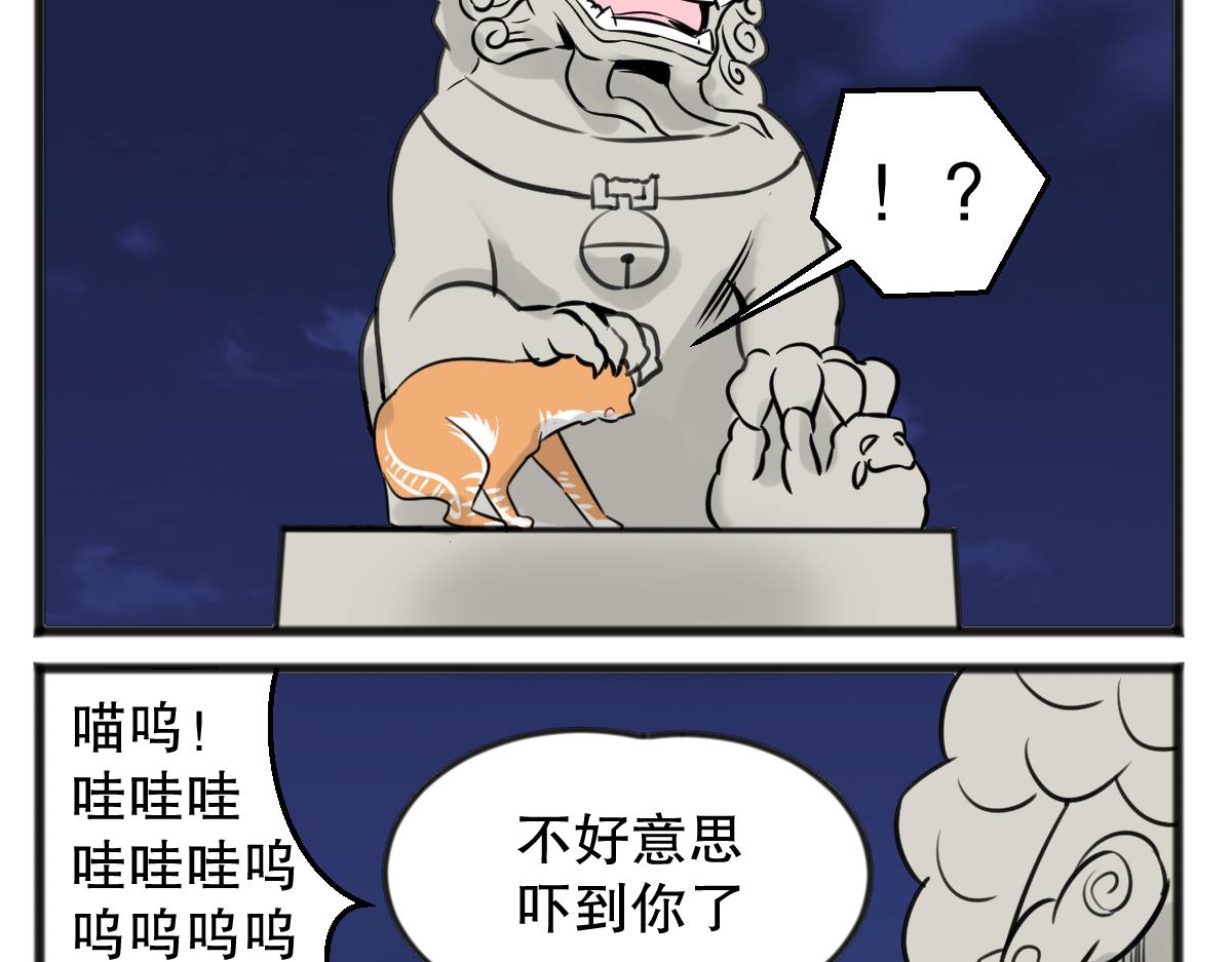 猫仔3
