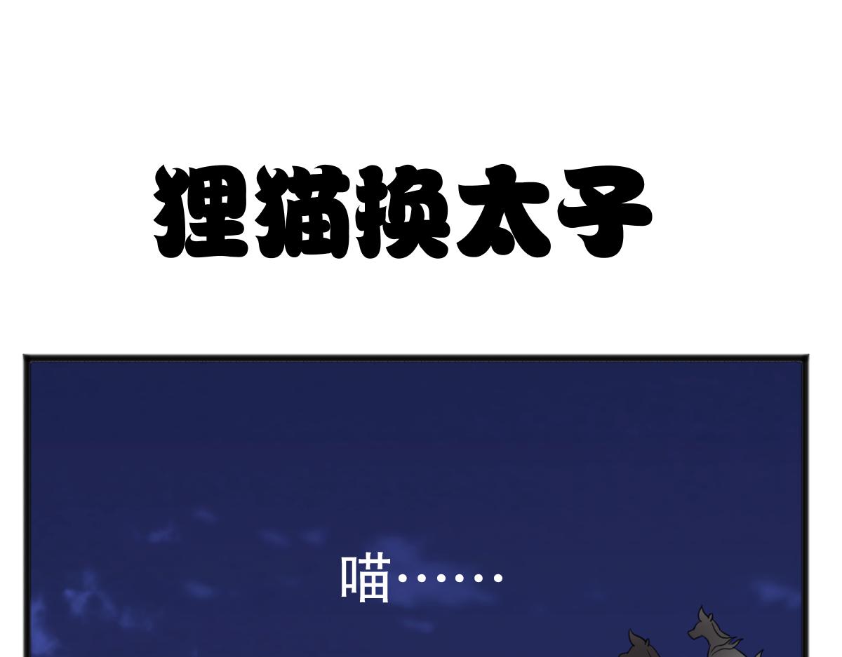 猫仔5