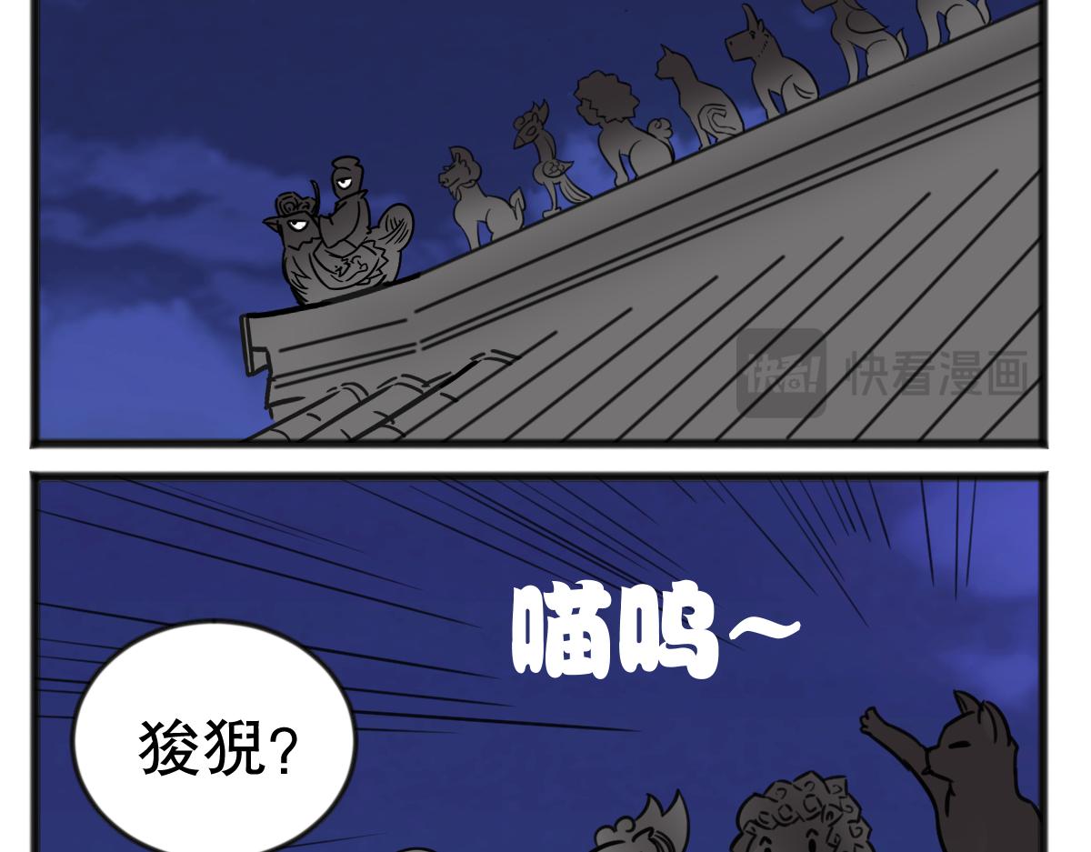 猫仔6