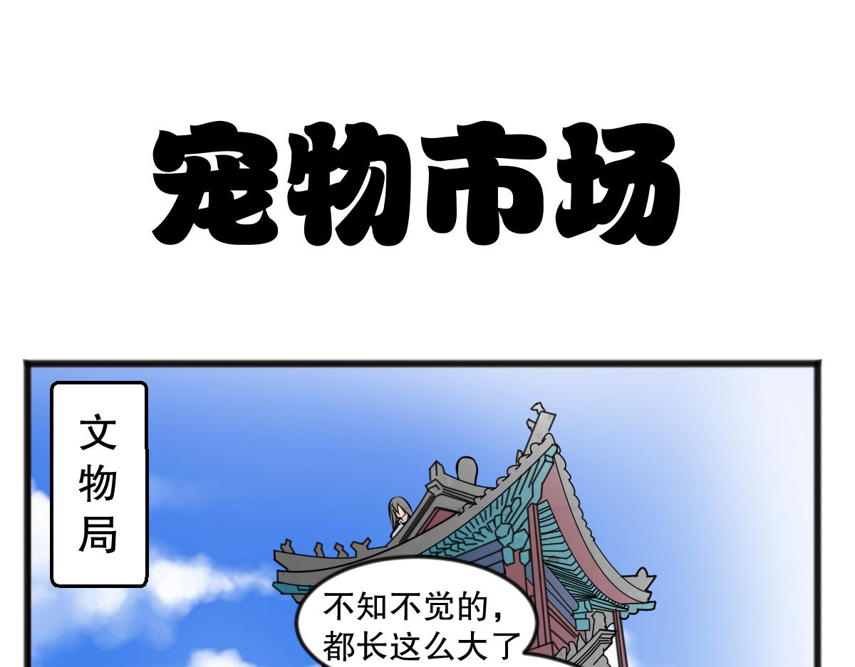 直播带货10