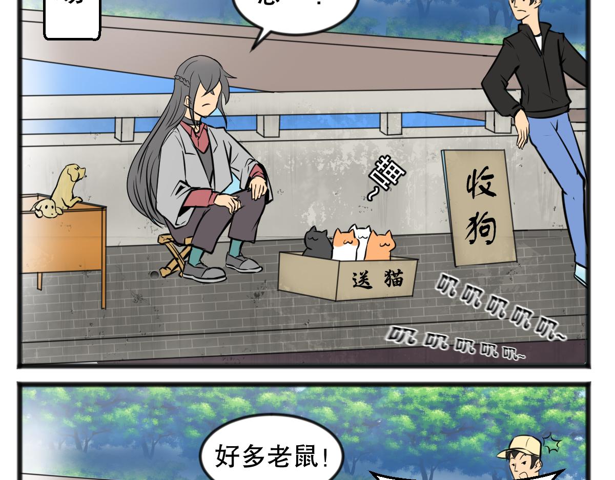 直播带货13