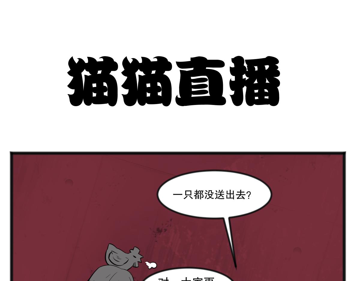 直播带货15