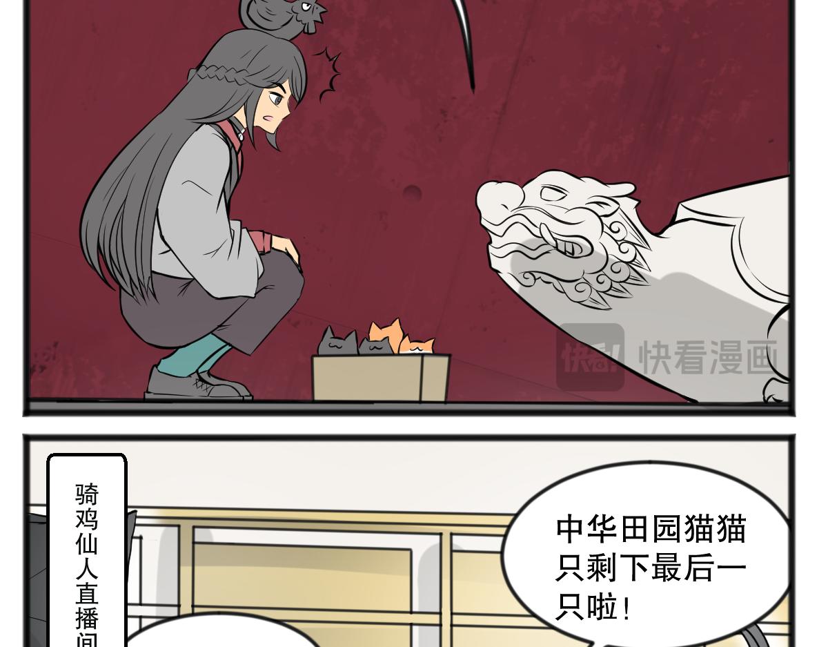 直播带货17
