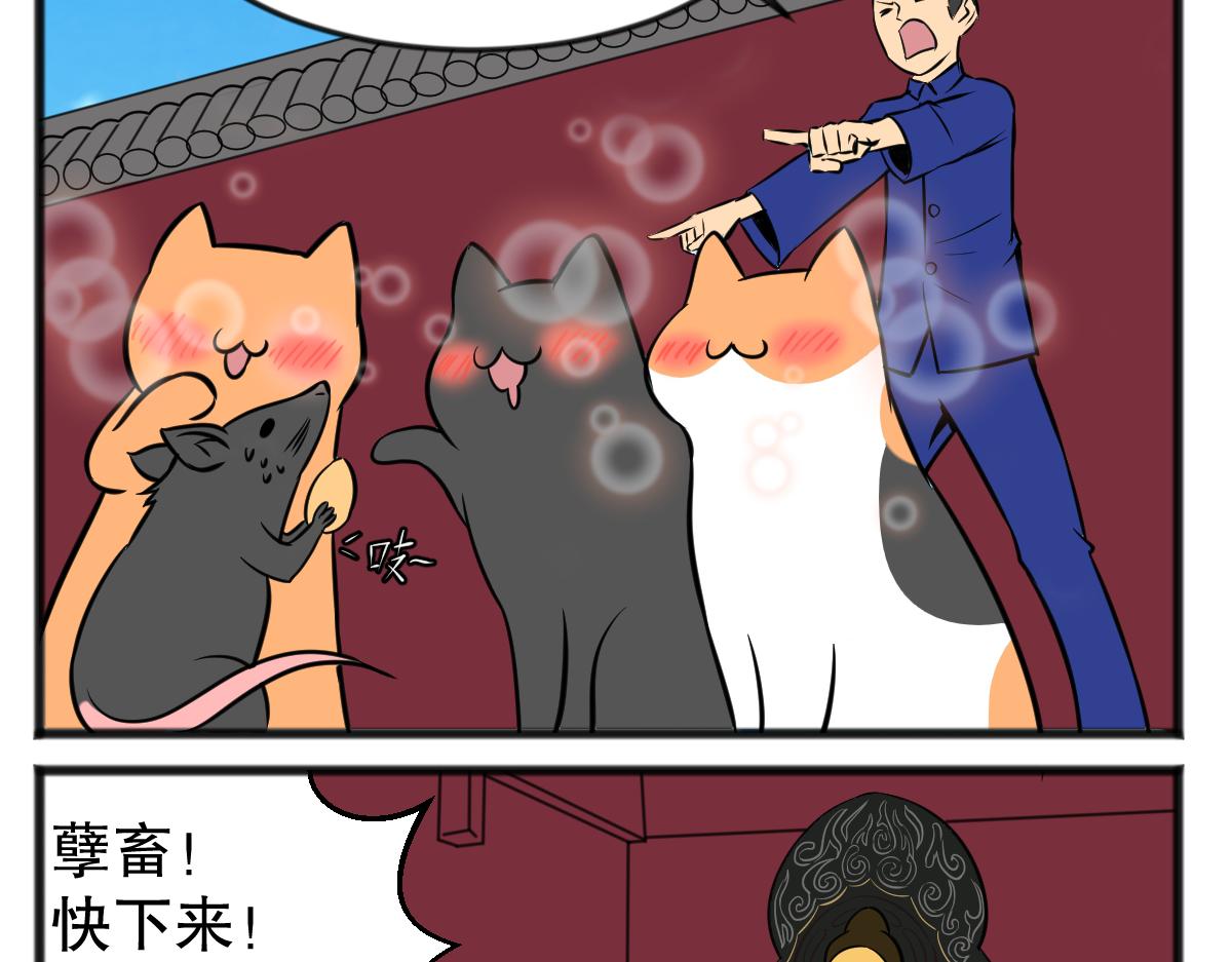 直播带货8