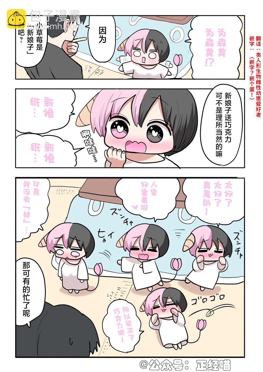 混血魅魔与巧克力082